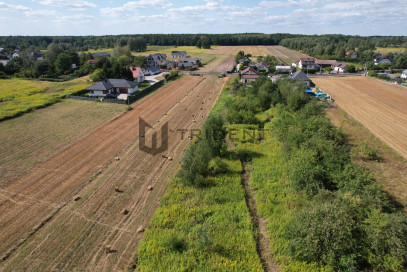 Działka Sprzedaż Wojciechowice