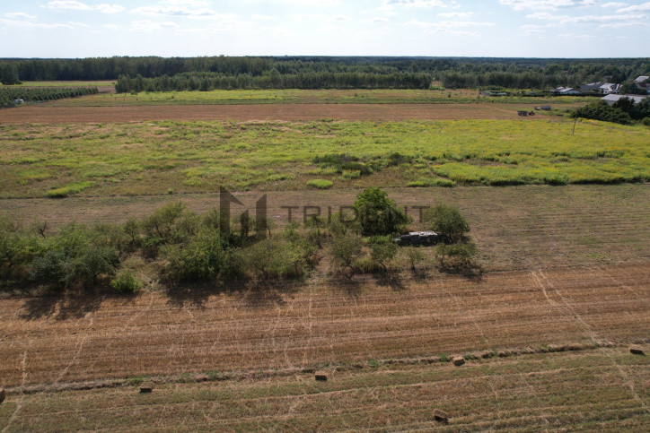 Działka Sprzedaż Wojciechowice 3