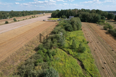 Działka Sprzedaż Wojciechowice