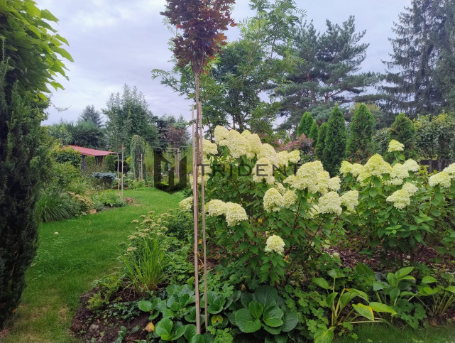 Ділянка Продаж Walendów 24